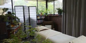 A massage table sitting among plants in the summer treatment room